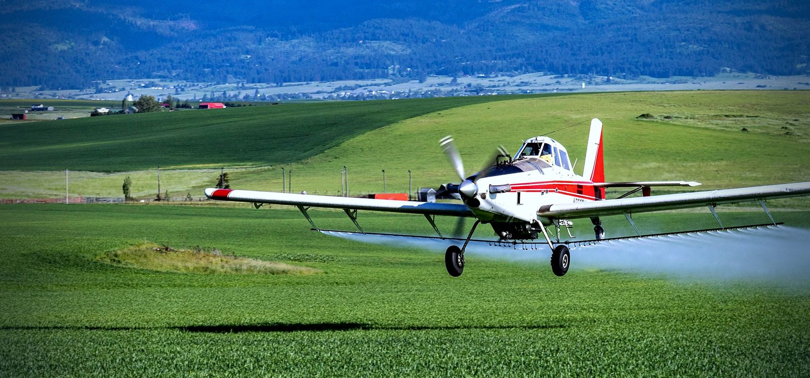 An Air Tractor making a low spray pass over a green wheat field, with forested hills behind